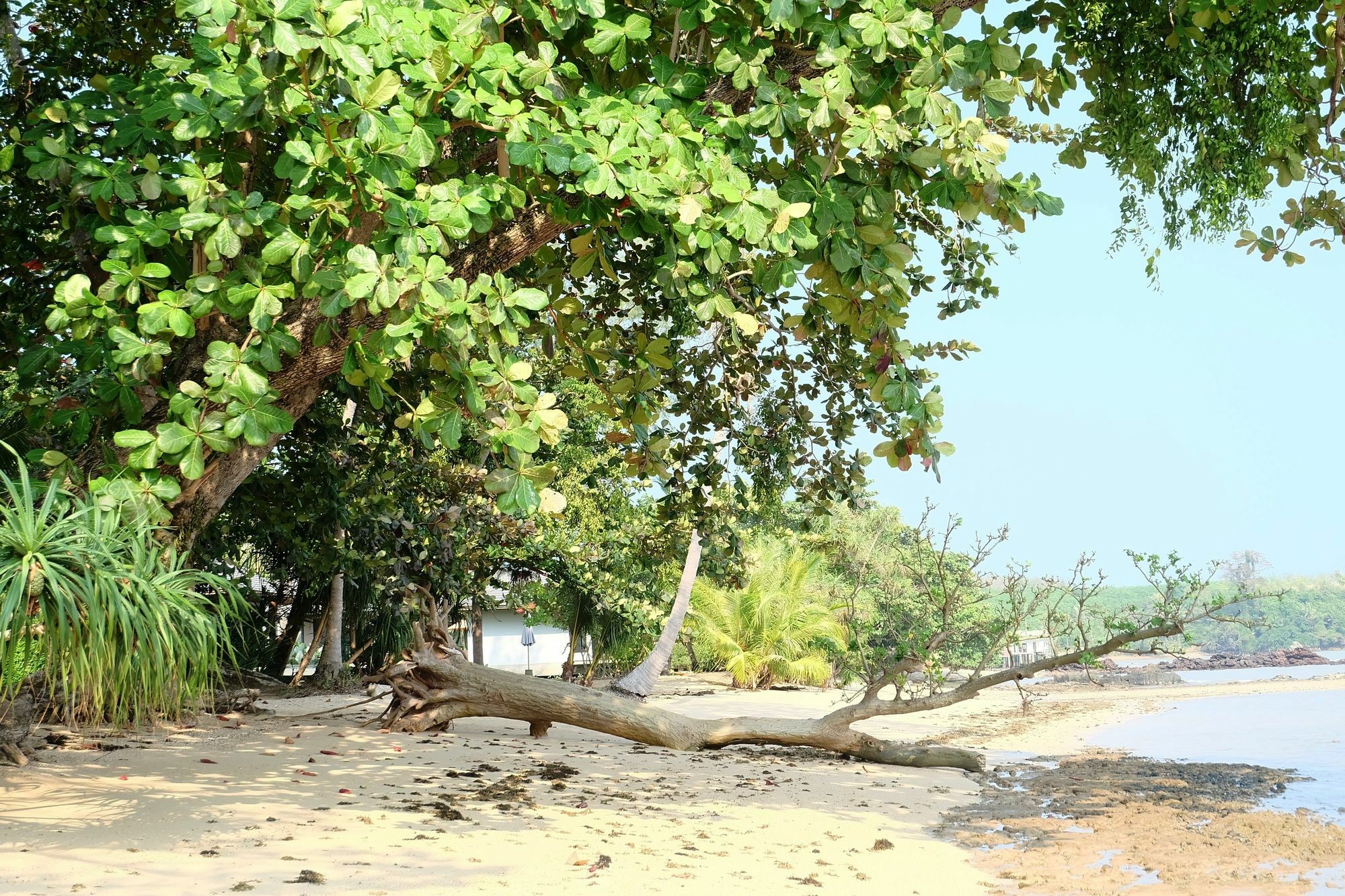 Plub Pla Koh Mak Retreat Exterior foto
